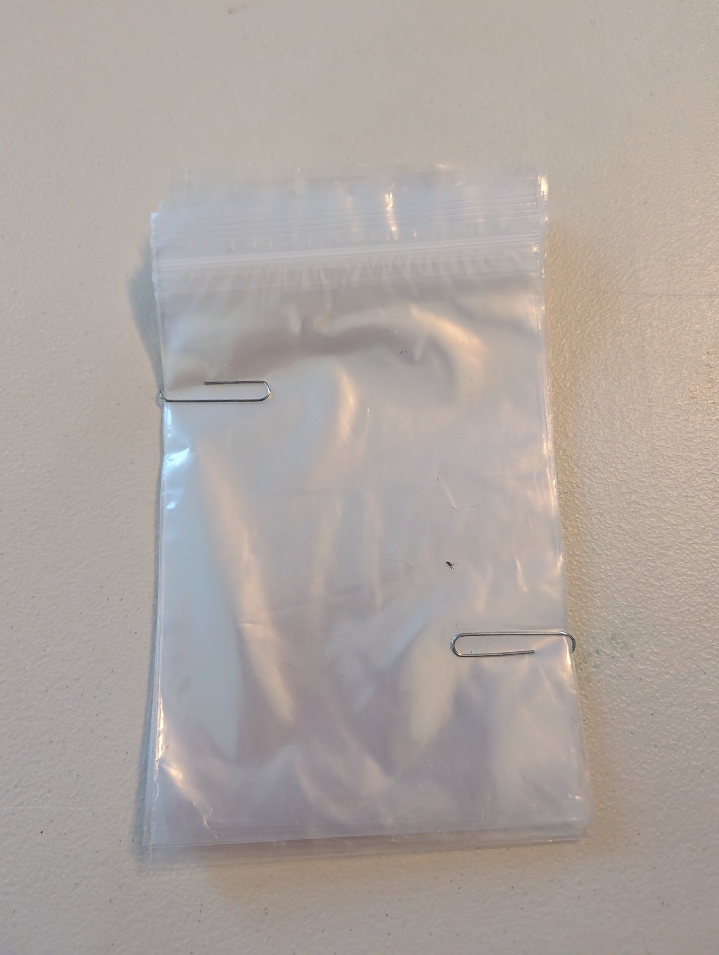 Clear Storage Bags with Zip Top (Set of 25)
